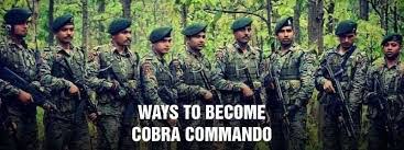 How to join cobra commando (cobra commando kaise bne in hindi) 